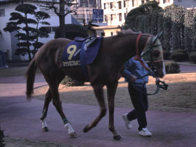 1997/12/29 川崎10R