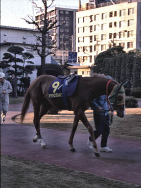 1997/12/29 川崎10R
