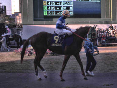 1997/12/29 川崎10R