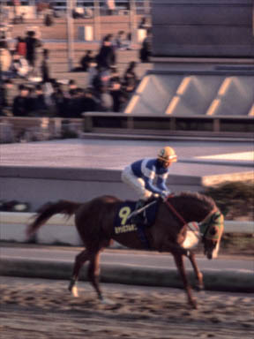 1997/12/29 川崎10R