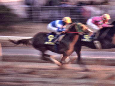 1997/12/29 川崎10R
