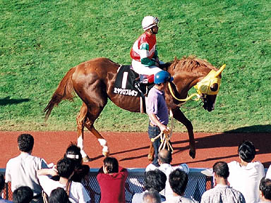 1998/10/18 東京10R
