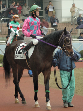 2006/01/14 R06R