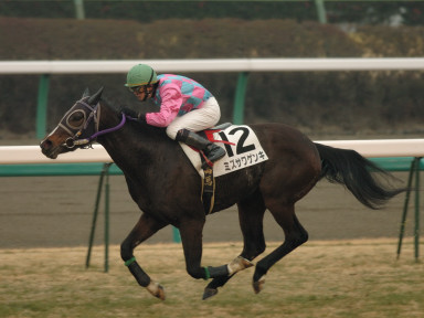 2006/01/14 R06R