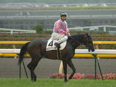 2006/06/11 07R