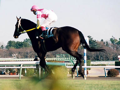 1999/01/10 中山09R