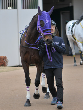 2025/01/12 R06R