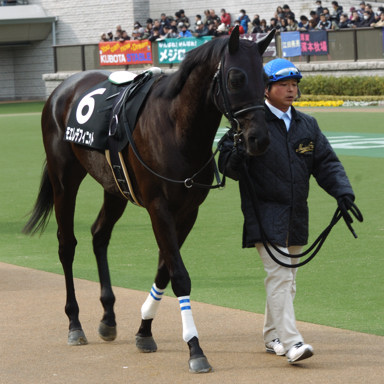2010/02/14 東京09R
