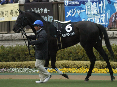 2010/02/14 東京09R