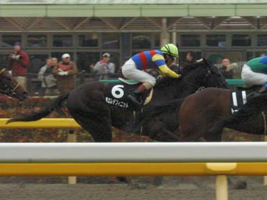 2010/02/14 東京09R