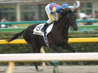 2010/10/17 東京12R