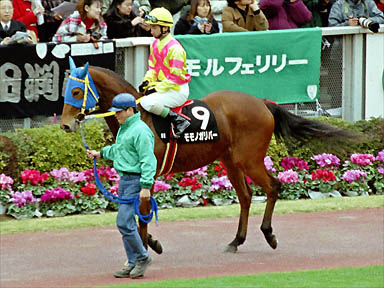 2000/02/13 東京09R