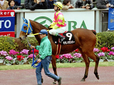 2000/02/13 東京09R
