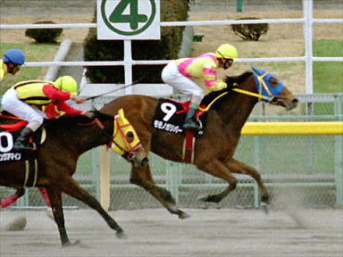 2000/02/13 東京09R
