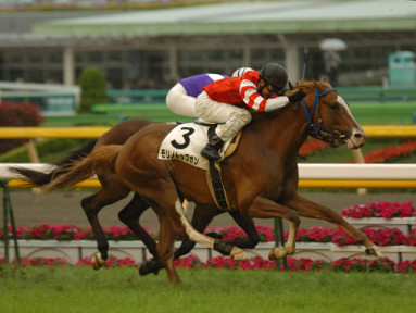 2006/05/07 08R