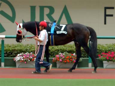 2001/06/23 福島11R