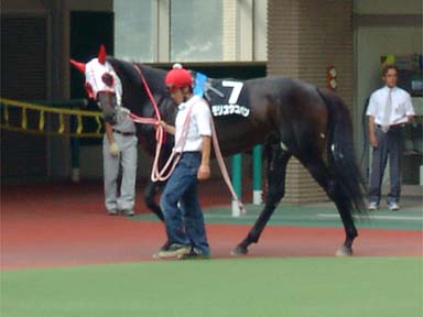 2001/06/23 福島11R