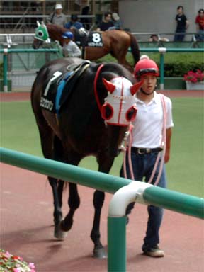 2001/06/23 福島11R