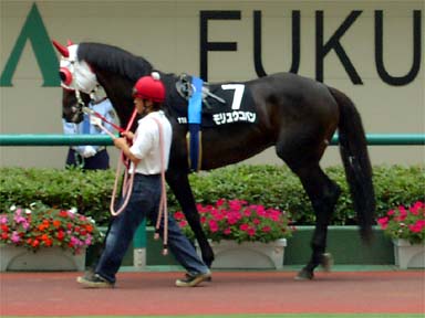2001/06/23 福島11R