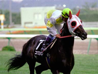 2001/06/23 福島11R