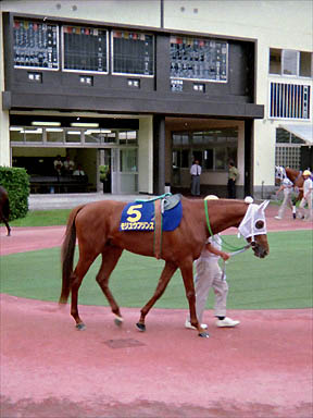 1993/08/01 盛岡09R