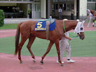 1993/08/01 盛岡09R