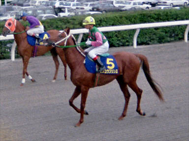 1993/08/01 盛岡09R