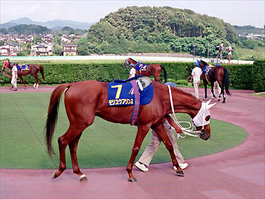 1994/07/31 盛岡09R