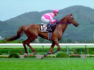 1995/06/25 福島11R