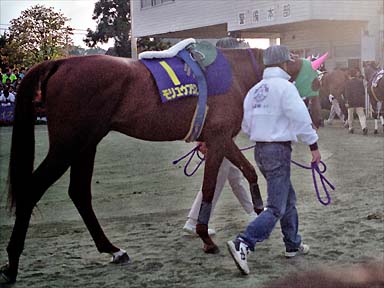 1995/10/10 水沢10R