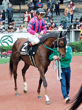 1998/02/07 東京09R