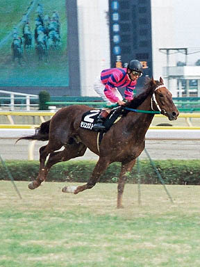 1998/02/07 東京09R