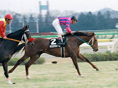 1998/02/07 東京09R