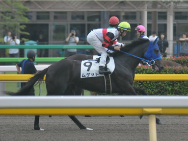 2016/06/25 東京07R