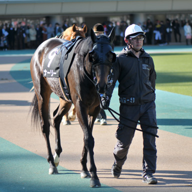 2020/02/02 東京09R