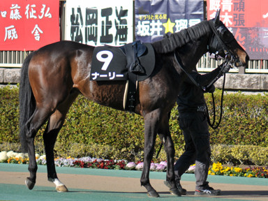 2020/02/02 東京09R