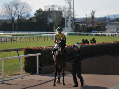 2020/02/02 東京09R