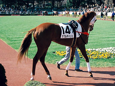 1999/01/30 東京08R