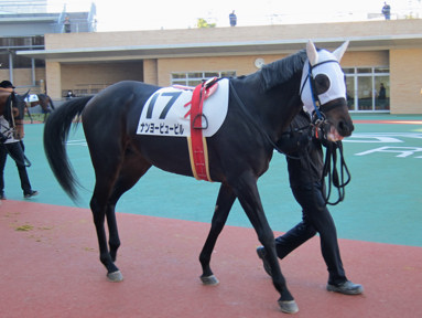 2015/12/19 中京08R