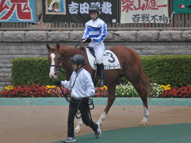 2015/11/21 東京06R
