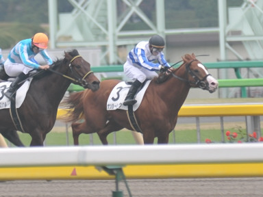 2015/11/21 東京06R