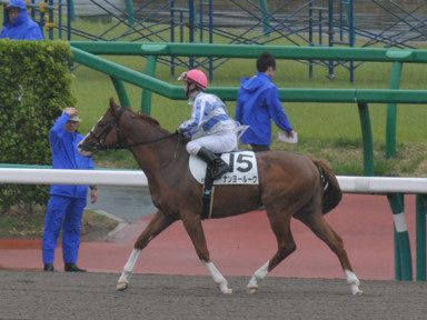 2016/04/17 中山06R