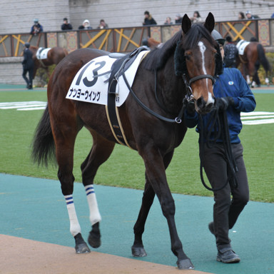 2024/02/04 東京04R