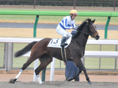 2024/02/04 東京04R