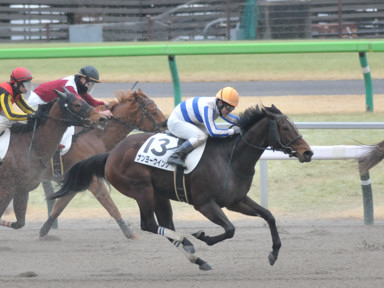2024/02/04 東京04R