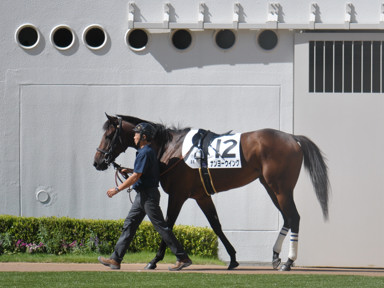 2024/09/15 中山08R