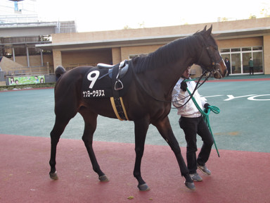 2018/01/27 中京12R