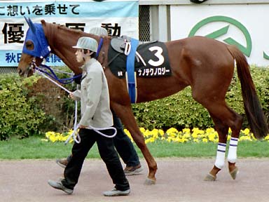 2002/02/17 東京09R