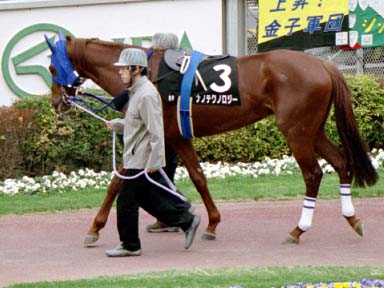 2002/02/17 東京09R