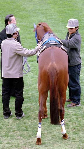 2002/02/17 東京09R